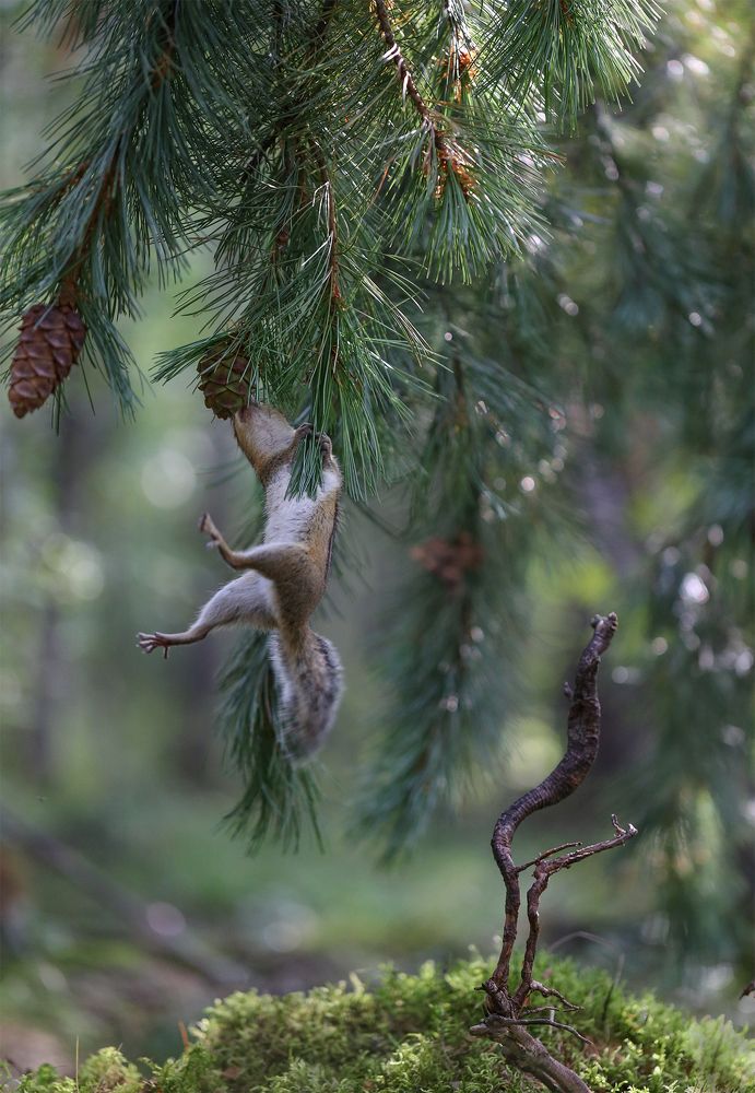 Photograph by Евгения Левина