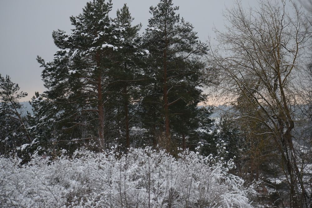 Photograph by Татьяна Крахина