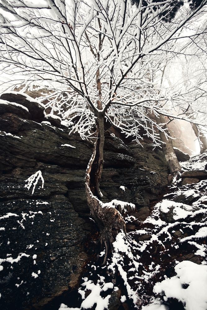 Photograph by Samuel Magnús