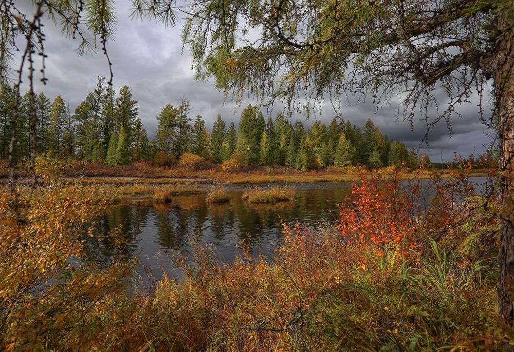 Photograph by Евгения Левина