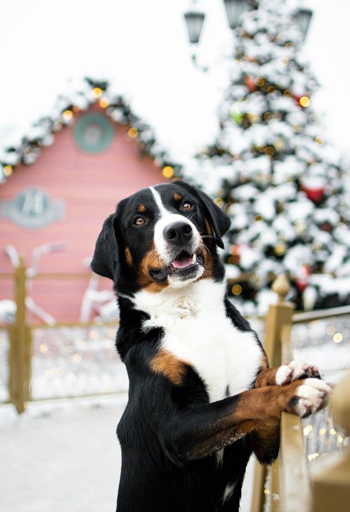 Photograph by Дарья Зайцева