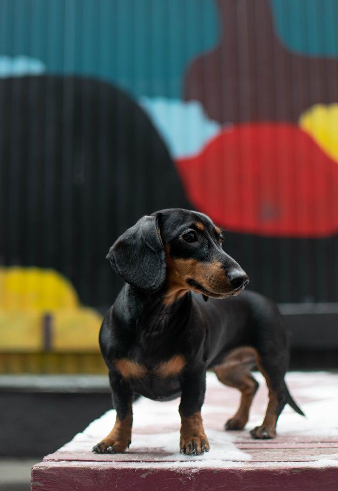 Photograph by Дарья Зайцева