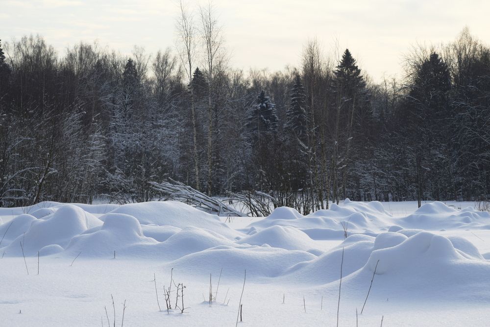 Photograph by Татьяна Крахина