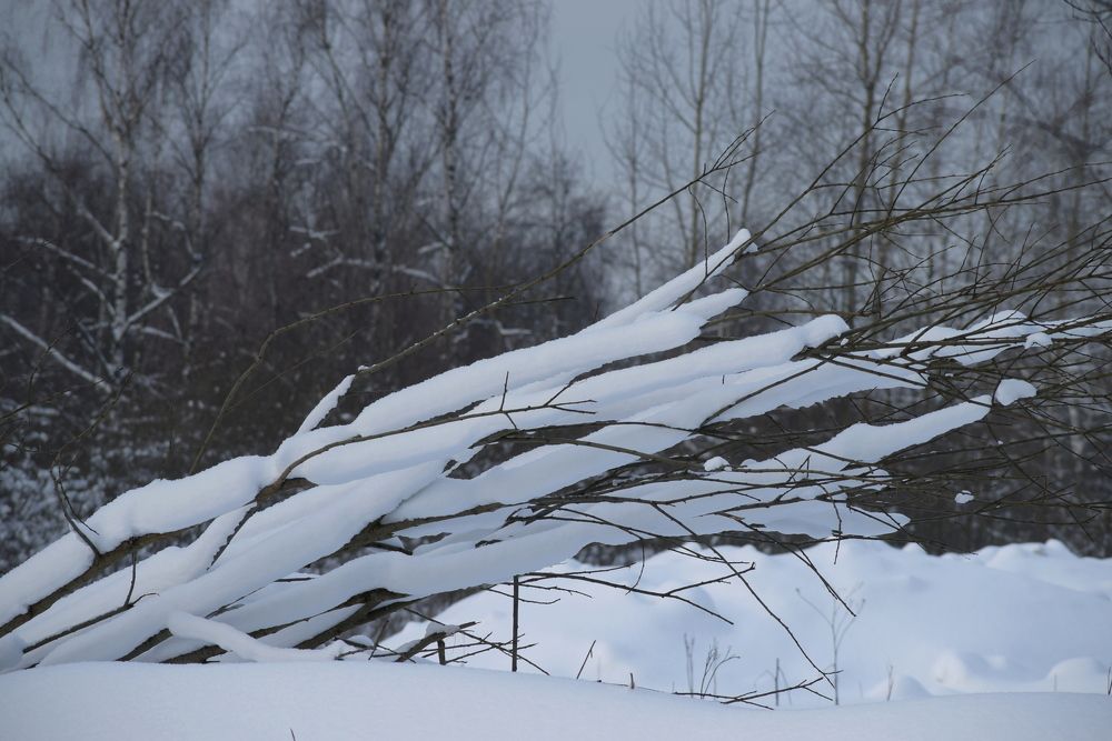 Photograph by Татьяна Крахина