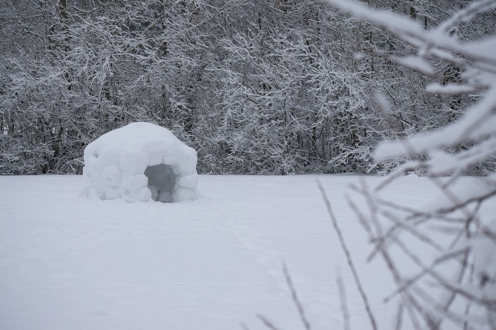 Photograph by Татьяна Крахина