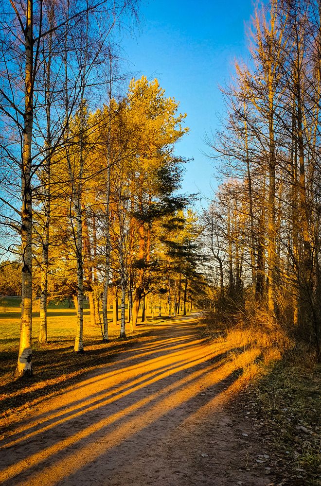 Осенний парк.
