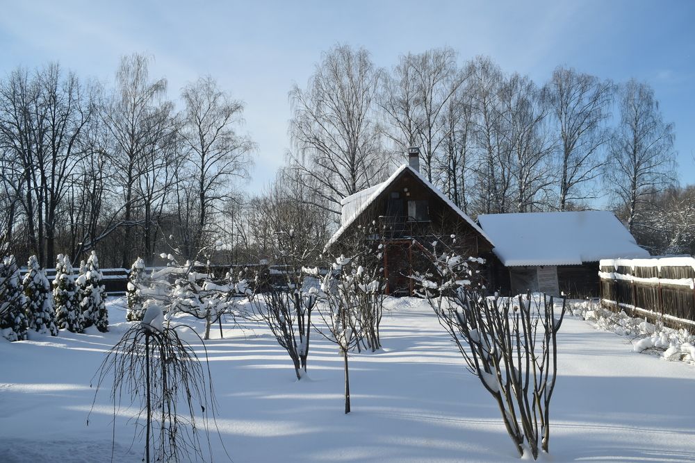 Photograph by Татьяна Крахина