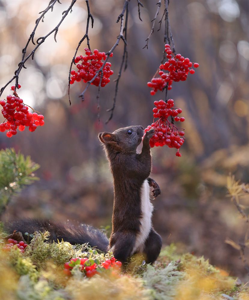 Photograph by Евгения Левина