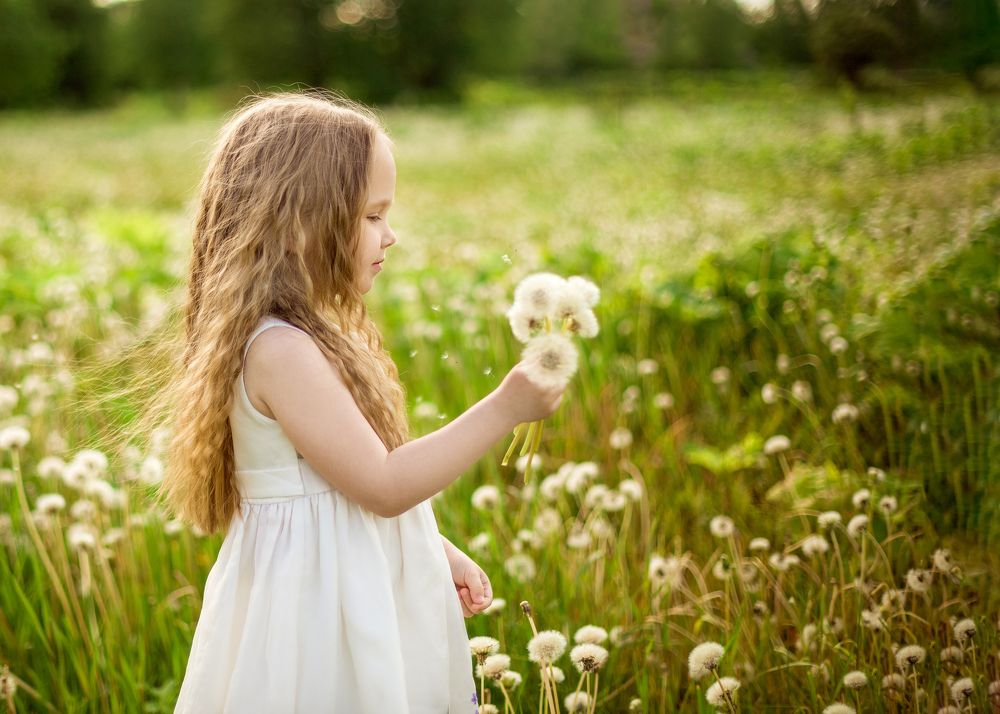 Девочка и одуванчики