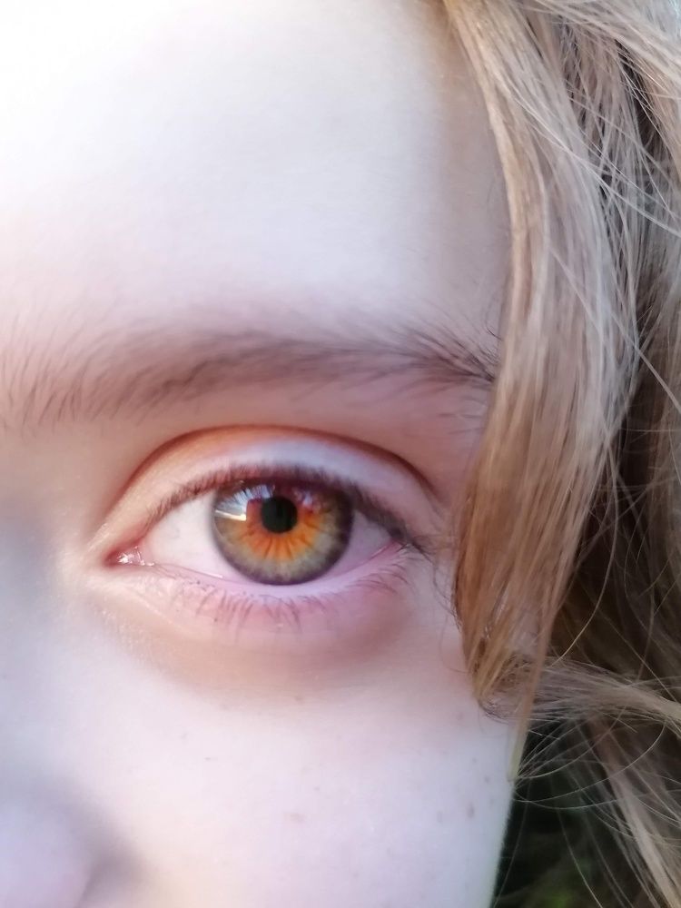 Photograph by Avril Glavin