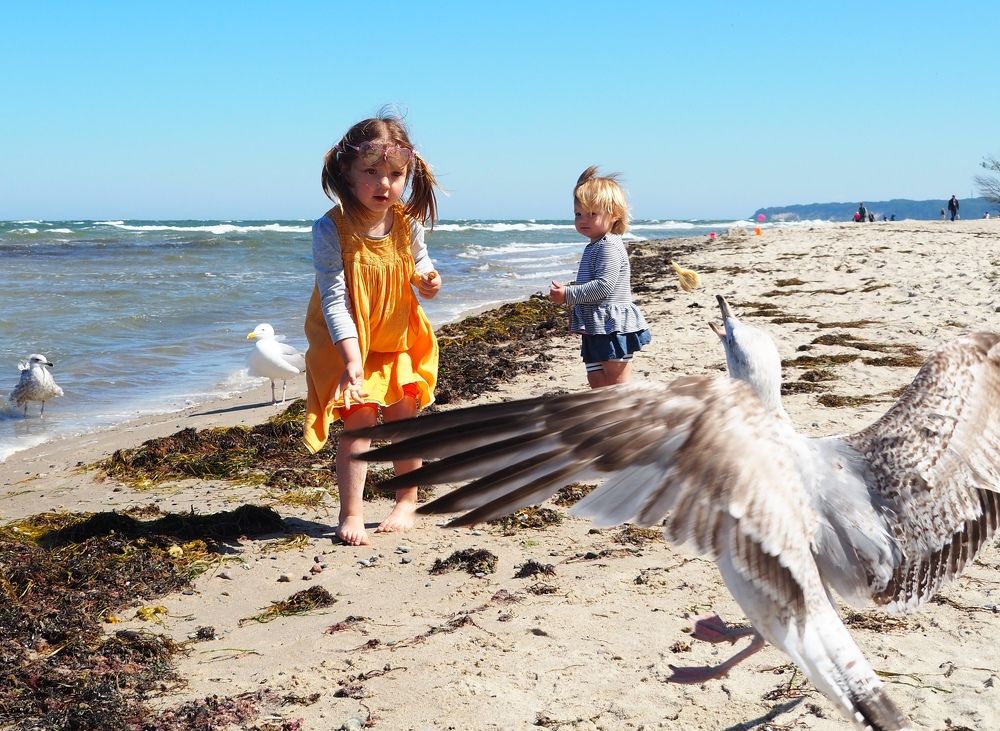 Photograph by Artem Nikiforov