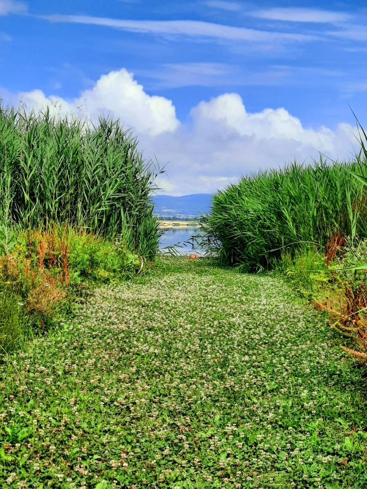 Photograph by Darko Milojevic