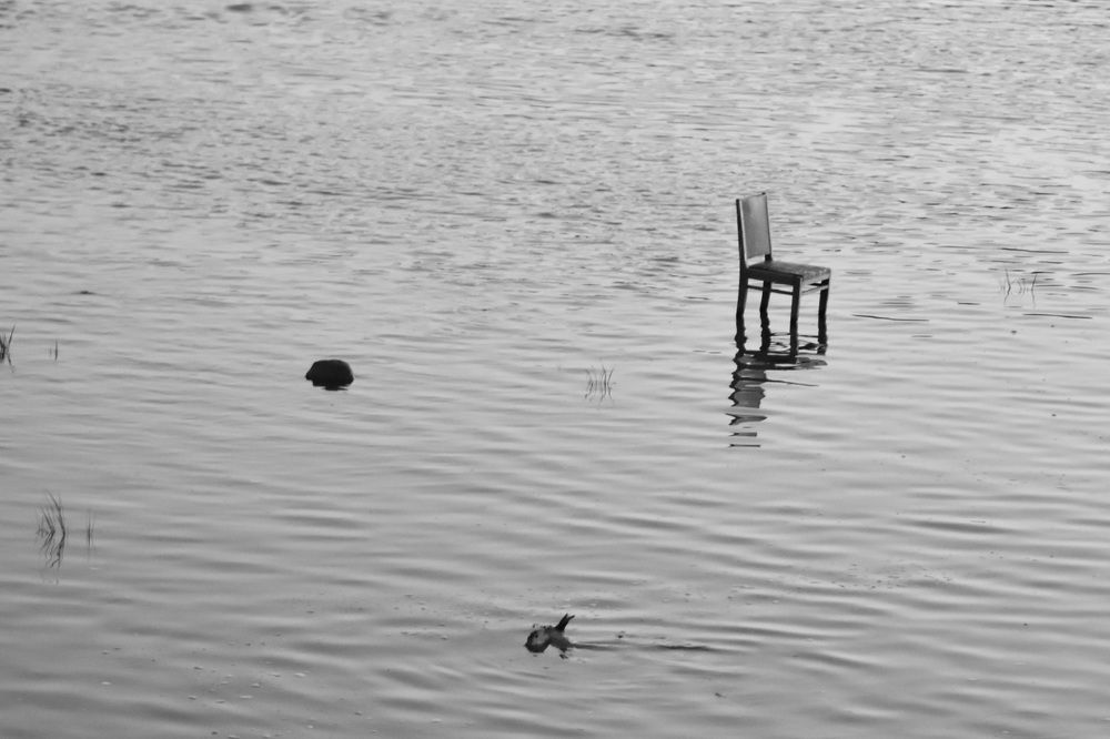 Photograph by Александр Ёлкин