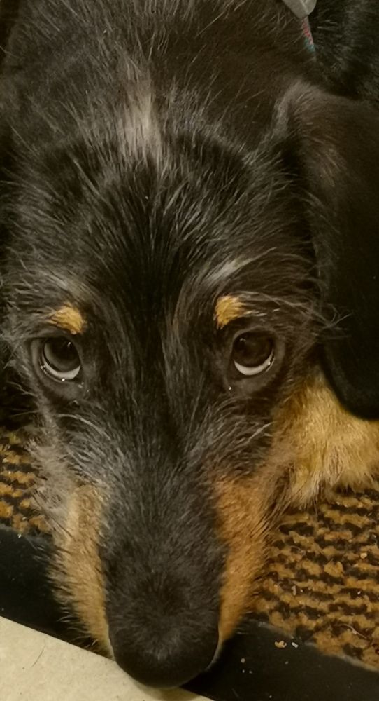 Фотография автора Meenakshi Ghosh