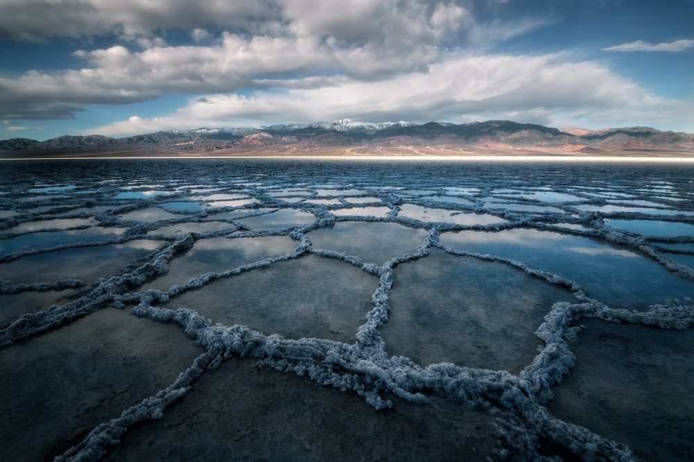 Photograph by  Ellis