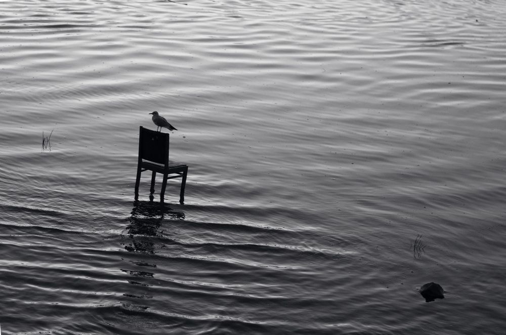 Photograph by Александр Ёлкин