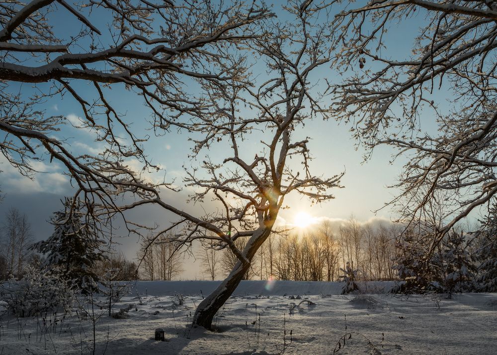 Photograph by Сергеев Сергей