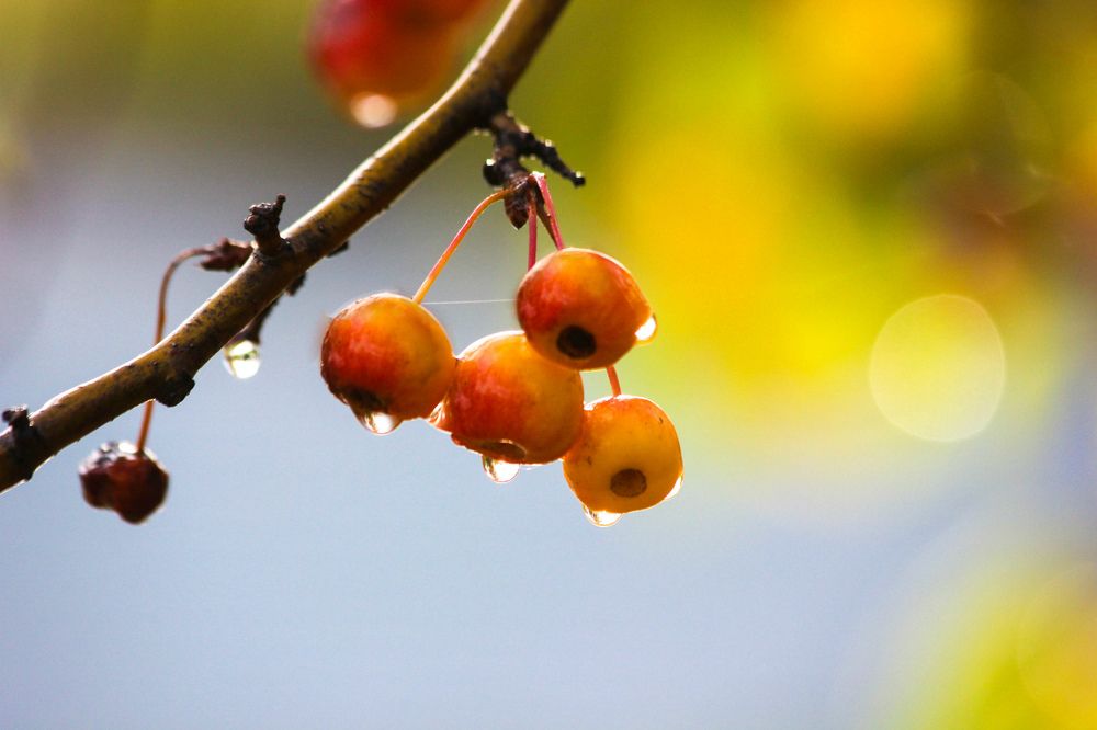 Photograph by Юрий Яковлев