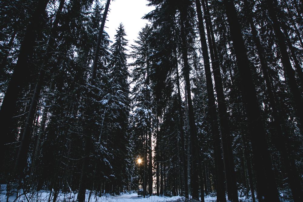 Фотография автора Antonio Anikovich