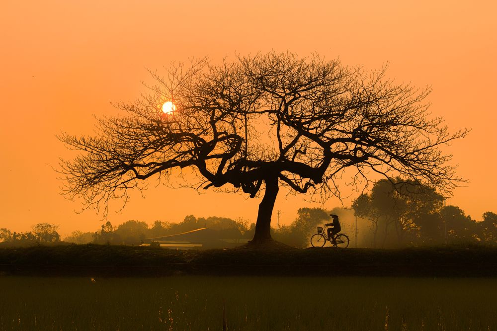 Photograph by Hoàn Nguyễn