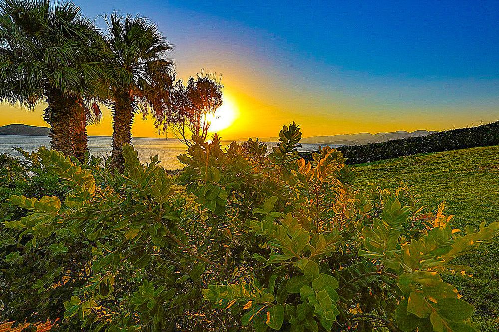 Photograph by Константин Леонюк