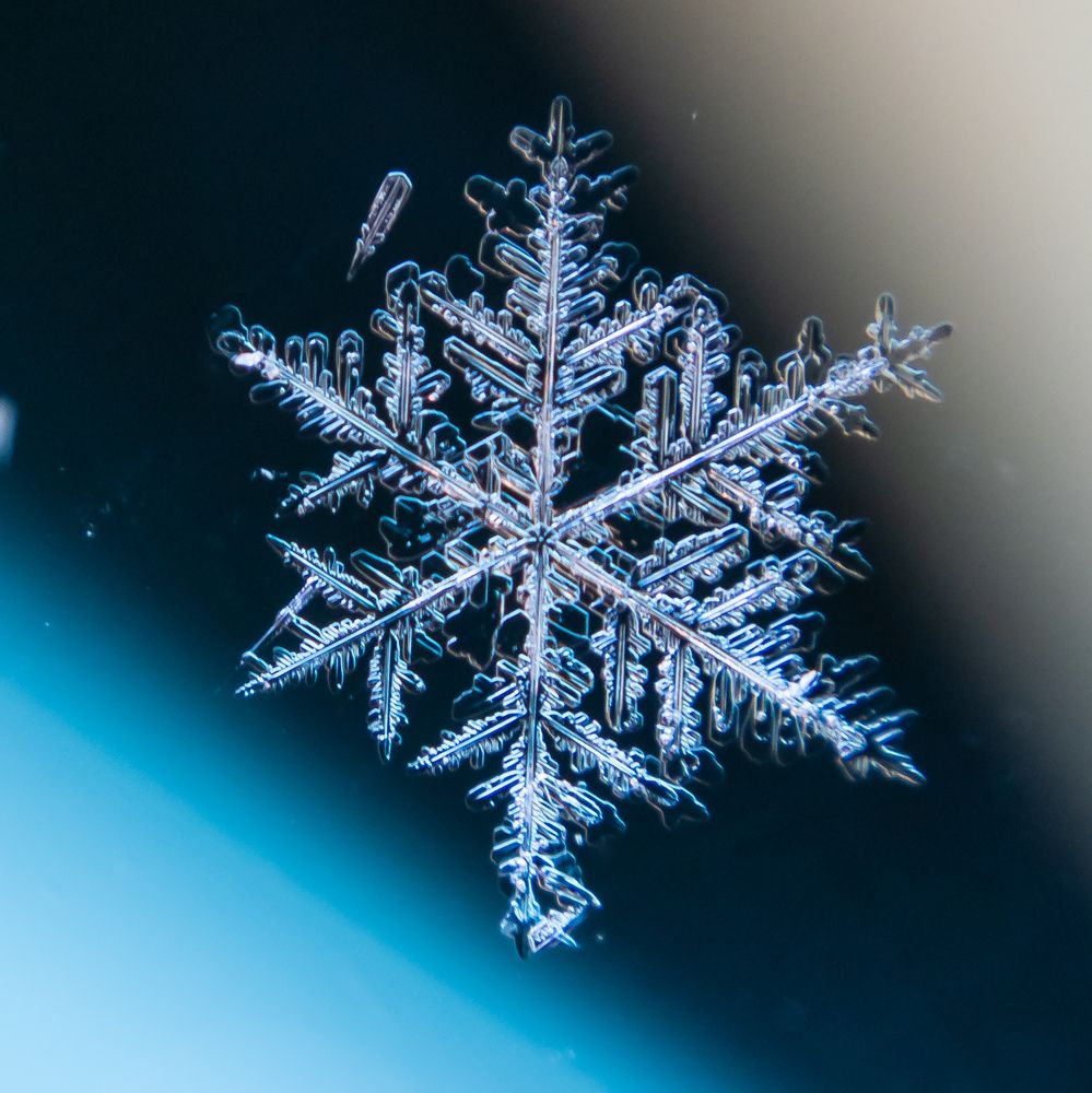 Photograph by Дмитрий Кузнецов