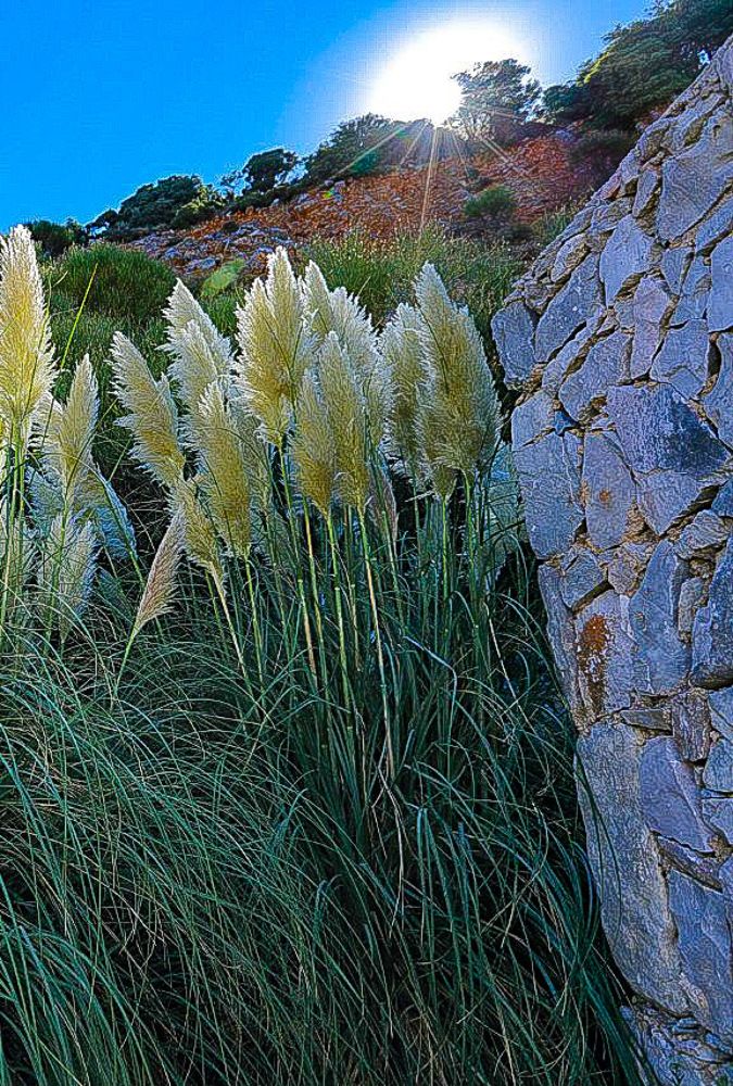 Photograph by Константин Леонюк