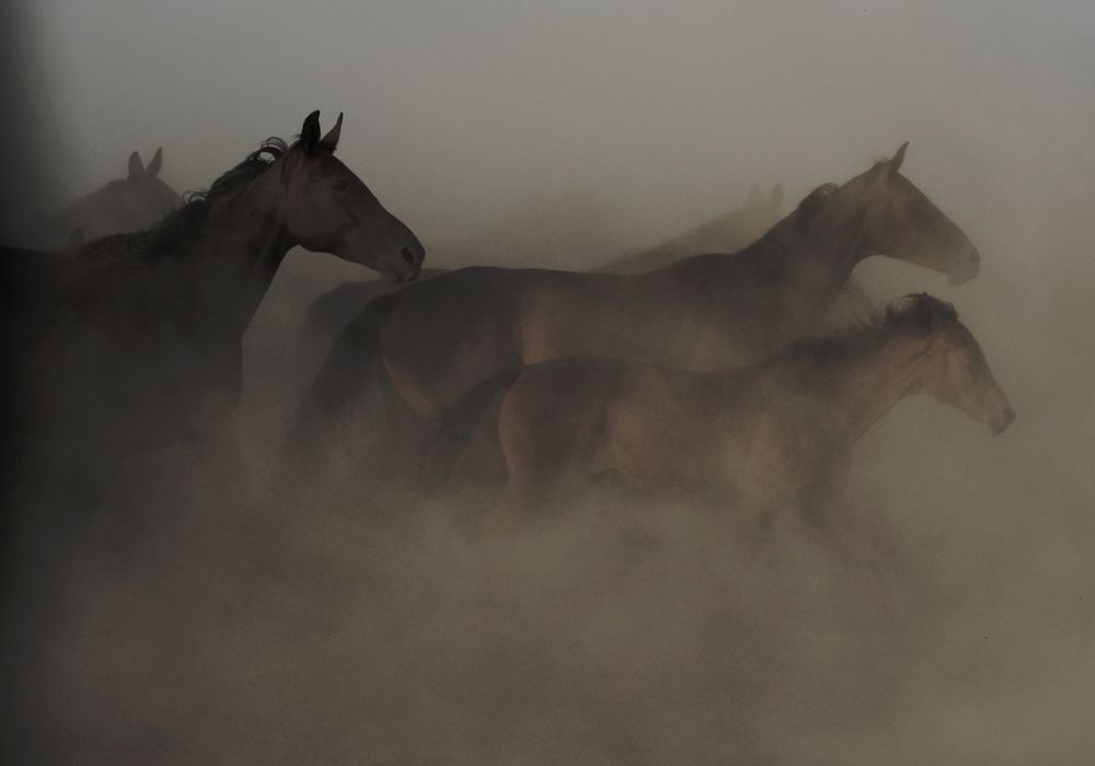 В золотой пыли.