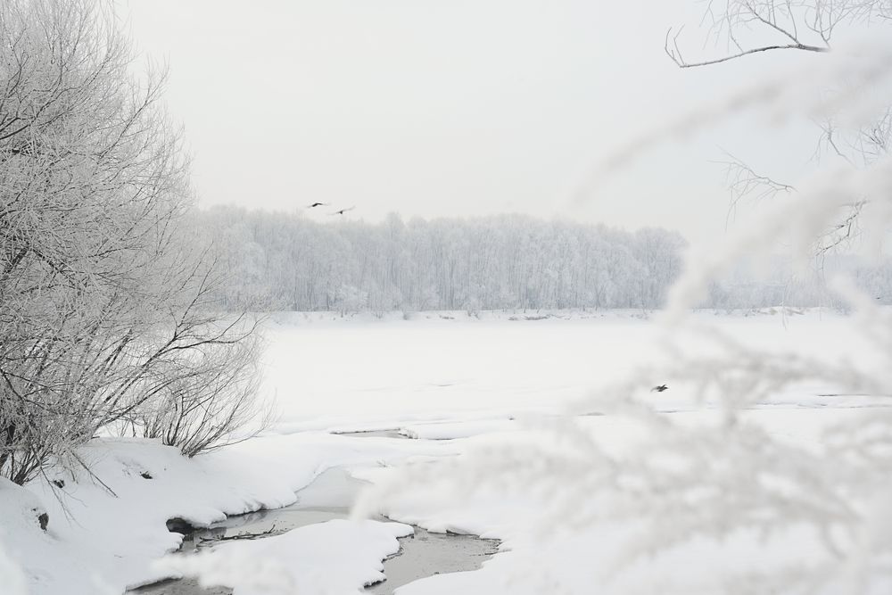 Photograph by Ольга Шибяева