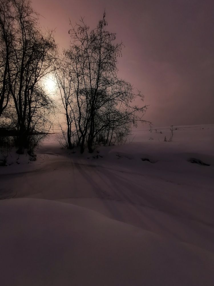Photograph by Евгения Лушенкова