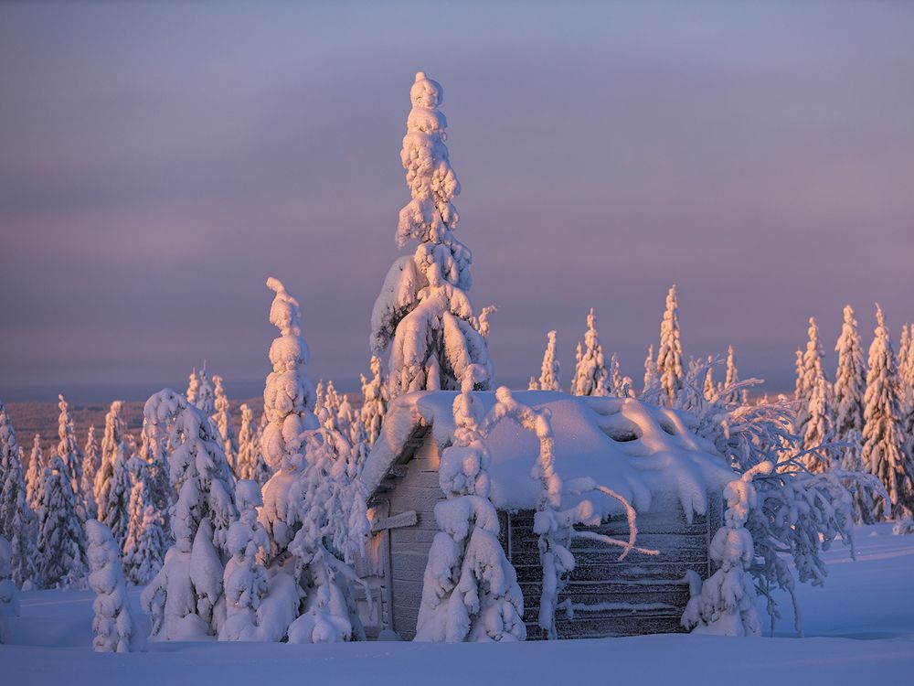 У леса на опушке ...