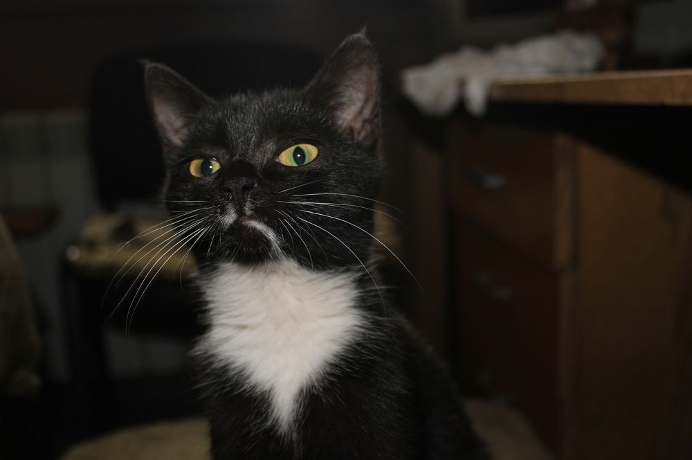 Photograph by Алексей Ролин