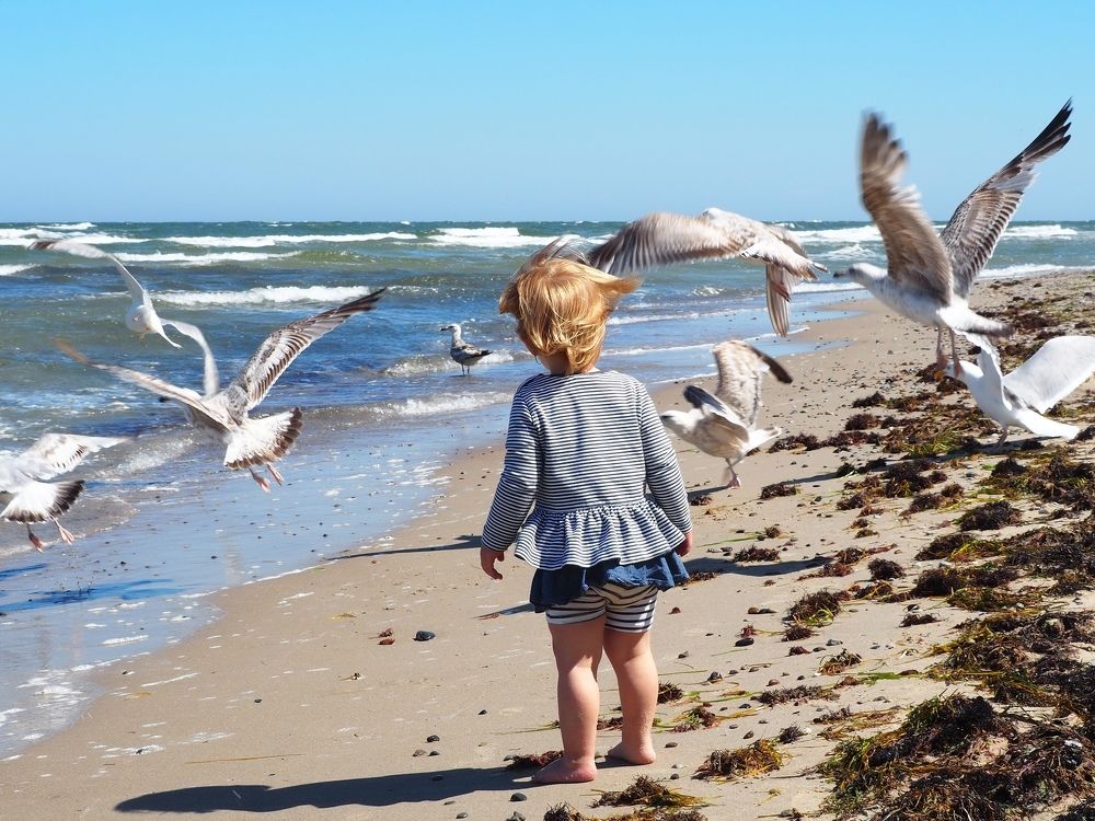 Photograph by Artem Nikiforov