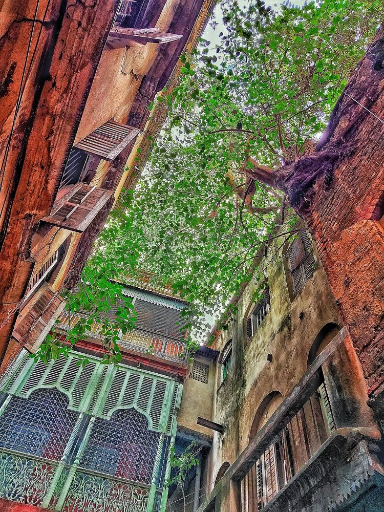 Photograph by Biplab Ganguly