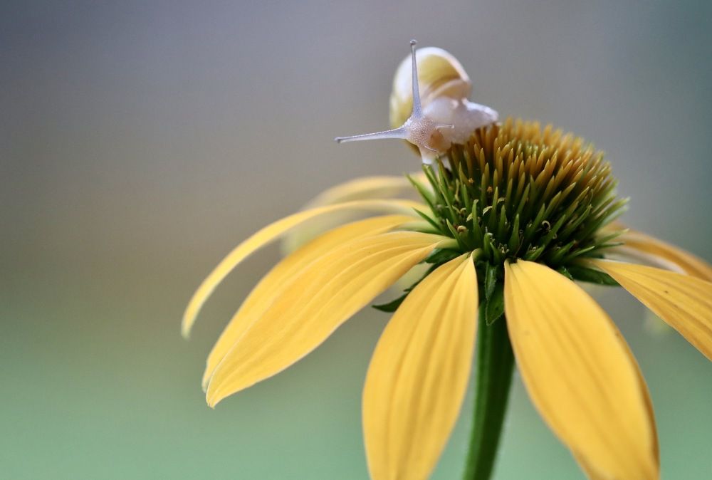 Photograph by Малика Маткарим