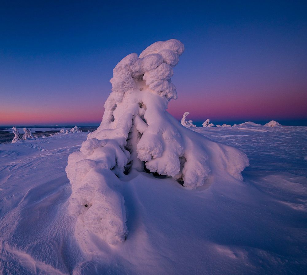 Photograph by Valtteri Mulkahainen