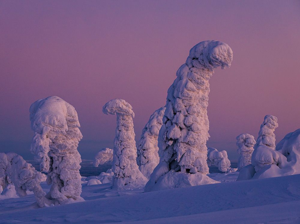 Страна динозавров.