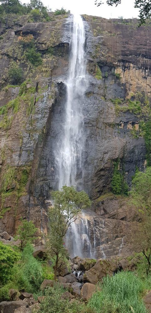 Photograph by SHMC Herath