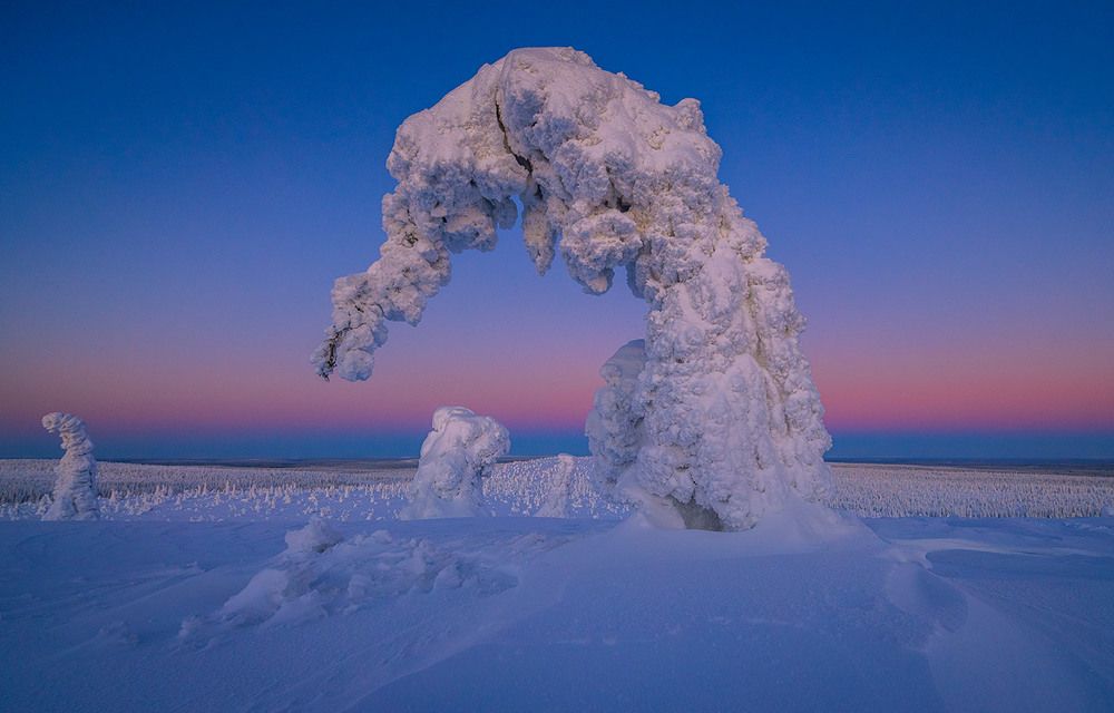 Photograph by Valtteri Mulkahainen