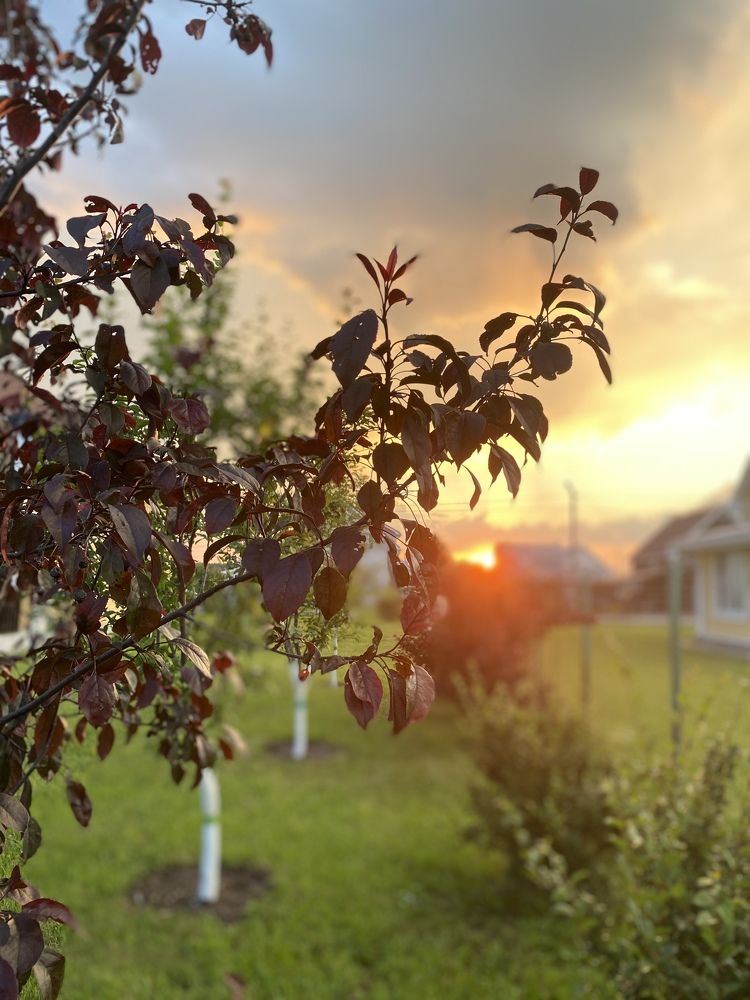 Photograph by Валерия Паули