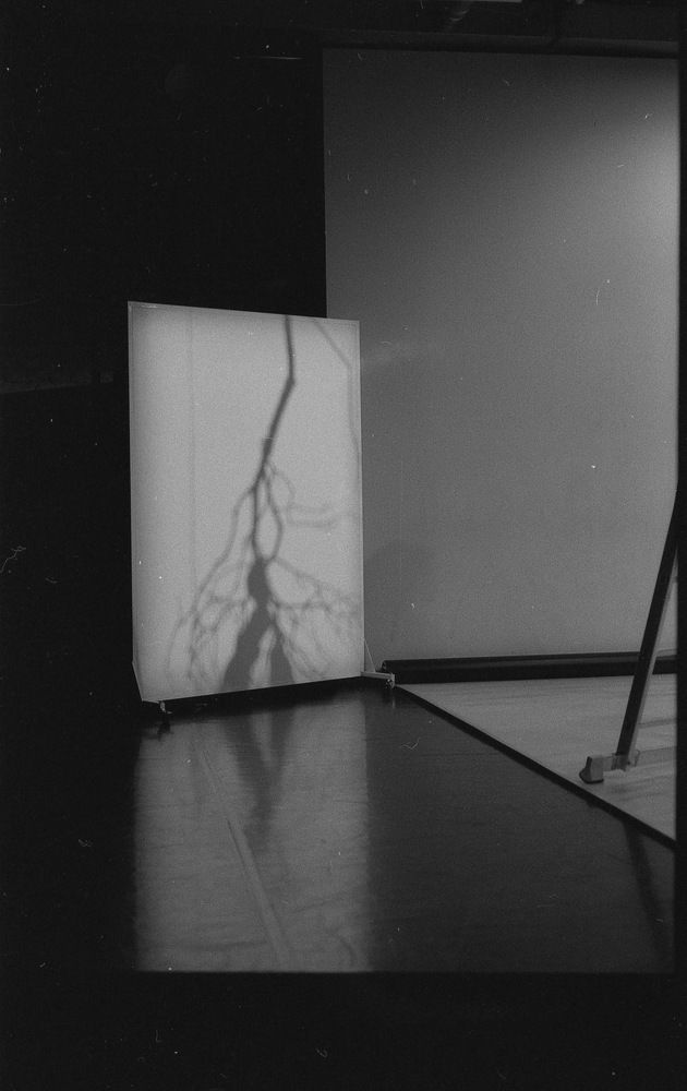 Photograph by Дмитрий Сосна