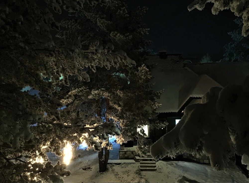 Night winter silence