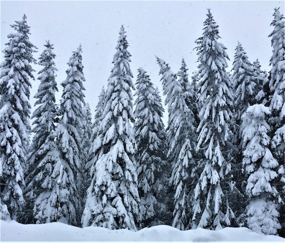 Photograph by Ana Grgurevic