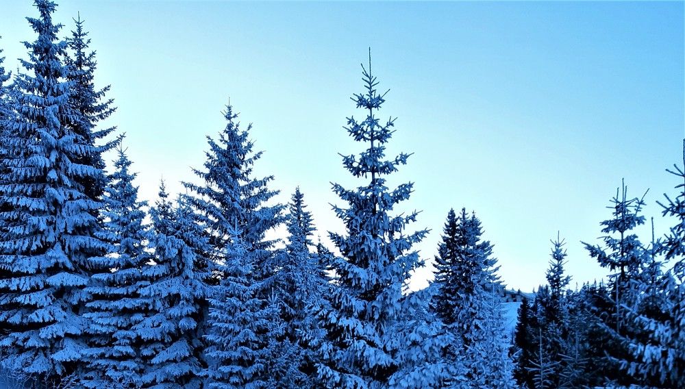 Photograph by Ana Grgurevic