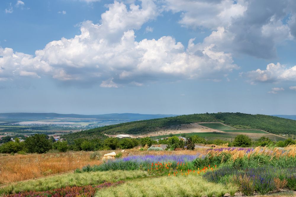 Photograph by Ирина Ульянова