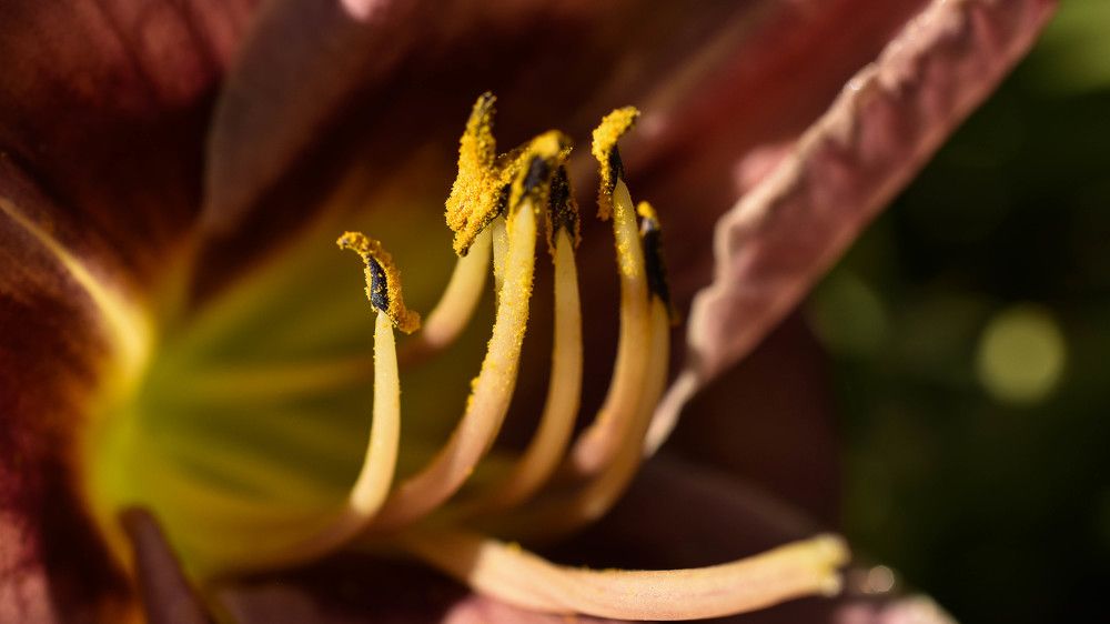 Photograph by Елена Шульженко