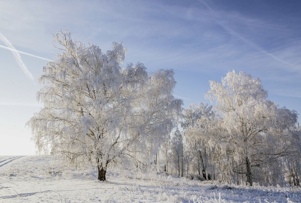 Фотография автора Рамиль Фаттахов
