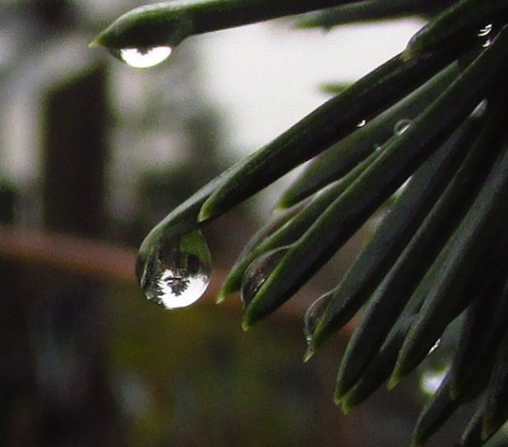 Photograph by Anna Szakacs