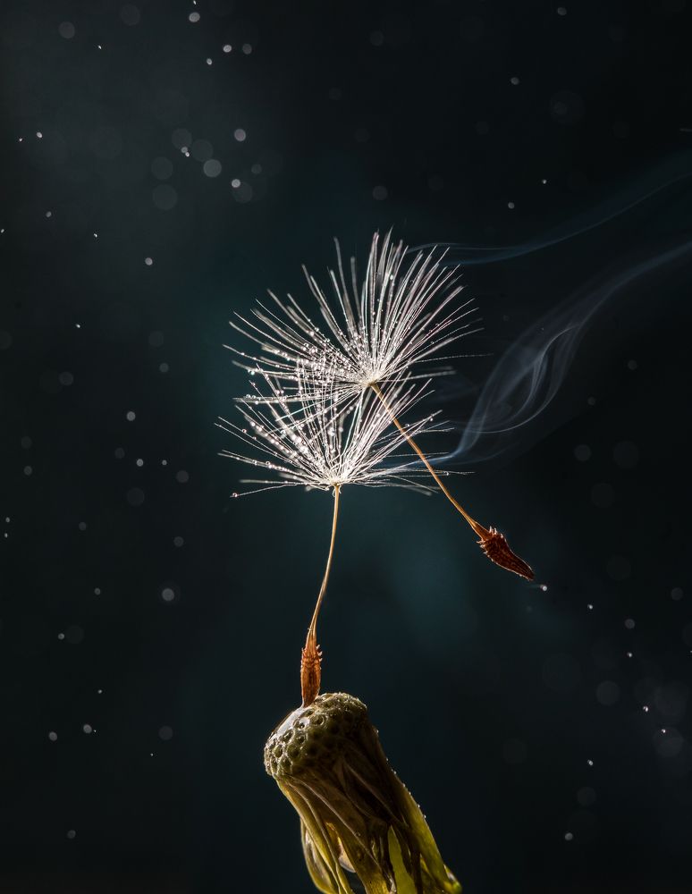 Photograph by Наталья Оконешникова