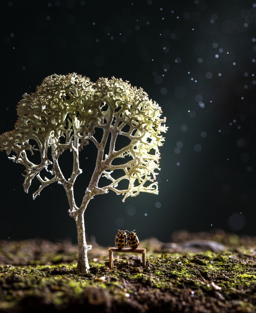 Photograph by Наталья Оконешникова